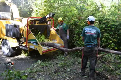 tree services Yankeetown